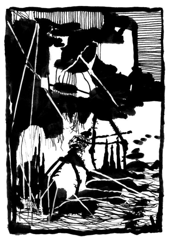 Spider Creature